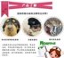 Parvovirus parvovirus checksum memory card and dog testing of dog pet máy siêu âm cho chó mèo Cat / Dog Medical Supplies