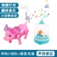 Crystal Pig+Green Sound Control Bird Cage 2 Pack