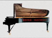 Đàn piano Canar grand piano sân khấu piano mới đàn piano 9 chân đàn piano GP-275 model màu đen