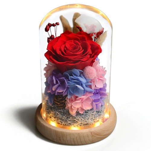 Eternal Life Flower Glass Gift Box Gristment Birthday Gitle Gorder Drose Dry Flow