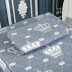 Bông hoa denim bedspread bảng vẻ đẹp massage với một lỗ bedspread massage đơn giản dày Tấm bìa siêu mềm - Trang bị tấm