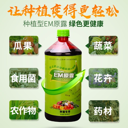 Посадка Tianyi em Primary Dewraogae em бактерий микробные грибки удобрения органические удобрения ферментированные удобрения корня удобрения удобрения.