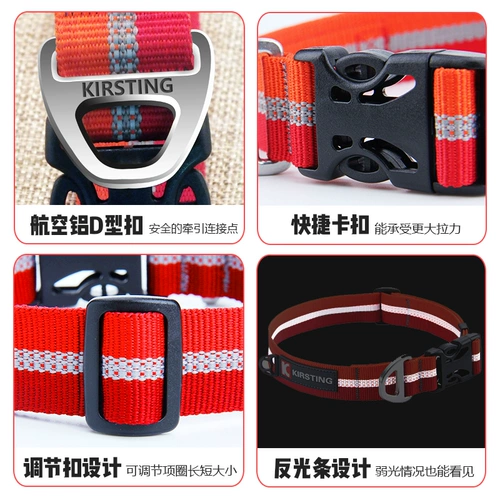 Собачья воротник Большой собачье отражающее кольцо кольца собачья кружок