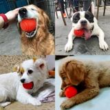 Игрушка для собак, увядающий устойчивый эластичный мяч, средний лабрадор лабрадор Золотая плюшевая плюшка для собаки собака игра в мяч мяч мяч мяч мяч