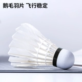 Angle Battle Barget Badminton 12 PEORYA Modern Patriarching King нелегко, чтобы гнить конкурс профессионального обучения в помещении и на открытом воздухе