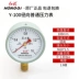 Hongqi Dụng Cụ Y100 1.6 Cấp Nước Đồng Hồ Đo Áp Lực Dầu Phong Vũ Biểu 0-1-16mpa Chống Địa Chấn Chính Xác Đồng Hồ Đo Áp Suất 