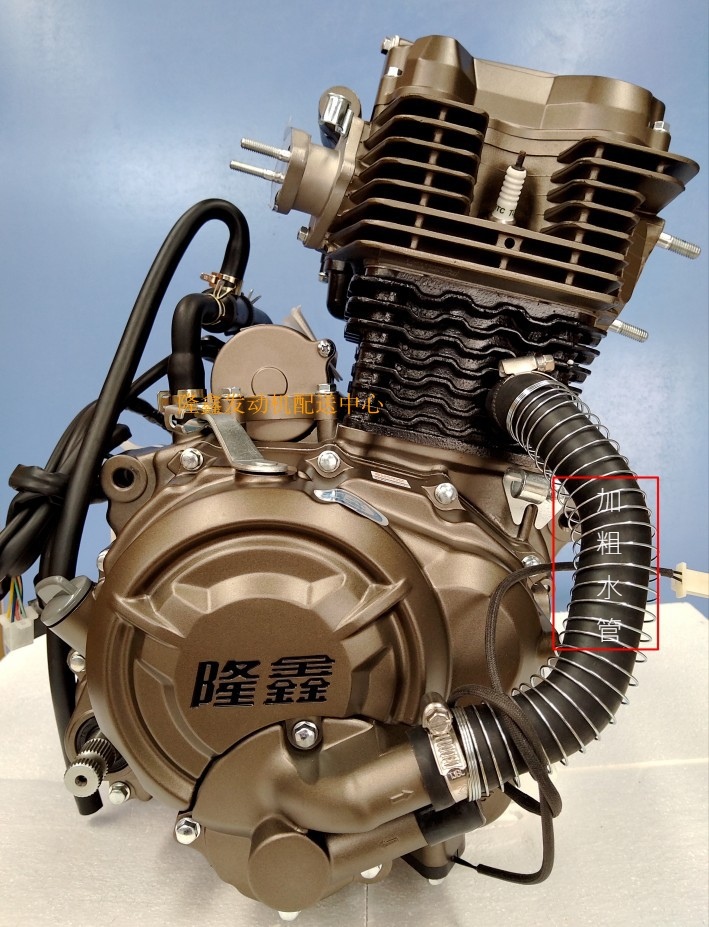 Двигатель китайского производства. Мотор 166 FMM 250сс.