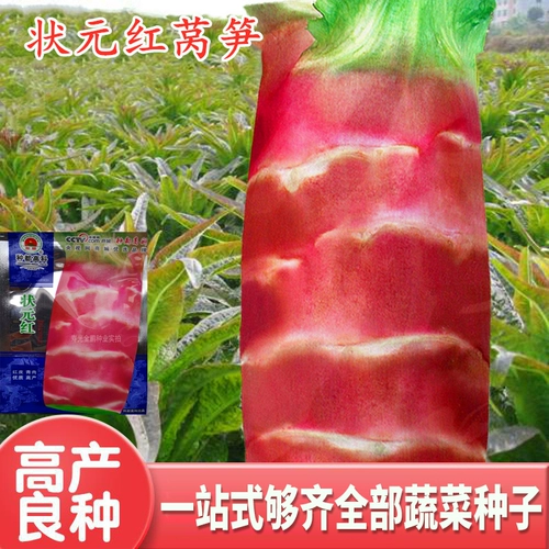 Семена салата с высоким содержанием салата