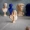 W1962 mới màu hồng xanh nhựa thạch cao mini đồ trang trí avatar trang trí avatar La Mã vật phẩm nhỏ - Trang trí nội thất các đồ vật để trang trí nhà ở