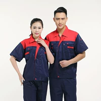 Красный фандри тибетский синий