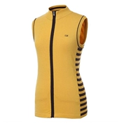 Ưu đãi đặc biệt 2019 đầu xuân mới Hàn Quốc mua quần áo golf nữ sọc đan vest vest - Thể thao sau