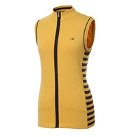 Ưu đãi đặc biệt 2019 đầu xuân mới Hàn Quốc mua quần áo golf nữ sọc đan vest vest - Thể thao sau bộ quần áo thể thao nam