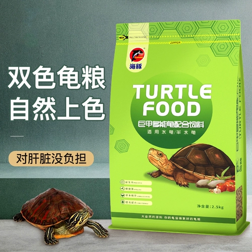 Pinja Turtle Grain Glood Turtl