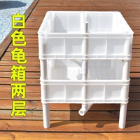 Белая коробка черепахи (2 слоя)