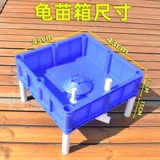 Много -слоя черепаха Фрай коробка с тремя измерениями черепахой коробки камня каменная черепаха Фрай коробки с питанием