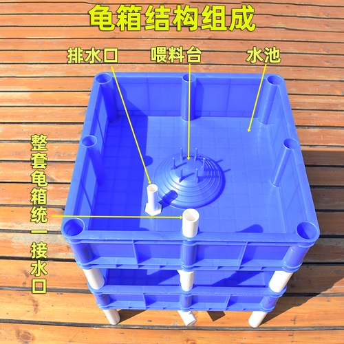 Много -слоя черепаха Фрай коробка с тремя измерениями черепахой коробки камня каменная черепаха Фрай коробки с питанием