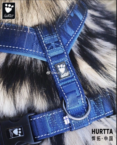 Hurtta Rittering/Casual Y -типа для собачьего сундука работники нелегко вырваться на свободу