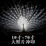 Kodak Photo Printing 14 -летняя магазин четыре цветных фотографий Photo Amplify размер стирание искусство микро -спрей бесплатная доставка