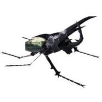 Full 68 Mô hình giấy thủ công 3D Mô hình giấy côn trùng DIY Beetle da trắng với mô tả giấy mô hình 3d bằng giấy