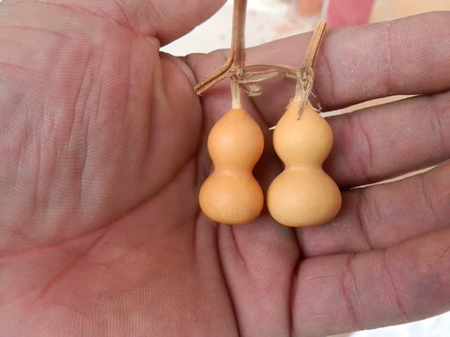 Натуральный бутик старая тыква рук скручивает маленькие тыквы ручки руля Wenwan