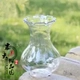 Hyacinth cụ thể thủy canh chai nhựa thủy canh nhỏ chai lục bình mới bình thủy tinh - Vase / Bồn hoa & Kệ