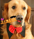 ПЭТ БОЛЬШОЙ ДОБАВИТЬ Свадебная свадьба Новый год рождественские украшения воротника Золотой Рето Само Хузак Средний Доги