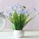 Hoa giả hoa nhỏ chậu hoa gốm chậu hoa lan oải hương phù hợp với nhà phòng khách trang trí hoa trang trí - Trang trí nội thất Trang trí nội thất