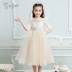 Trẻ em váy công chúa váy cô gái váy trong tay áo váy dài trong trẻ lớn sân lớn màu trắng tím sinh nhật hiệu suất - Váy trẻ em đồ cho bé gái Váy trẻ em