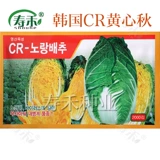 Shandong Huangxin осенние семена семян семян капусты четыре сезона