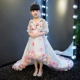 2018 mới mùa thu và mùa đông hoa cô gái váy trẻ em váy công chúa hoa cổ tích trang phục biểu diễn piano váy công chúa bé gái cao cấp Váy trẻ em