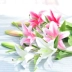 Mô phỏng hoa lily phòng khách trang trí phòng ngủ nhà hàng trang trí hoa giả nụ hoa mới trang trí nhà hoa - Hoa nhân tạo / Cây / Trái cây