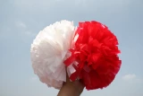 (Красно-белые) Модель с двумя головами и двугласой шариковой игрой, цветочные шарики, цветочные шарики во время больших классов