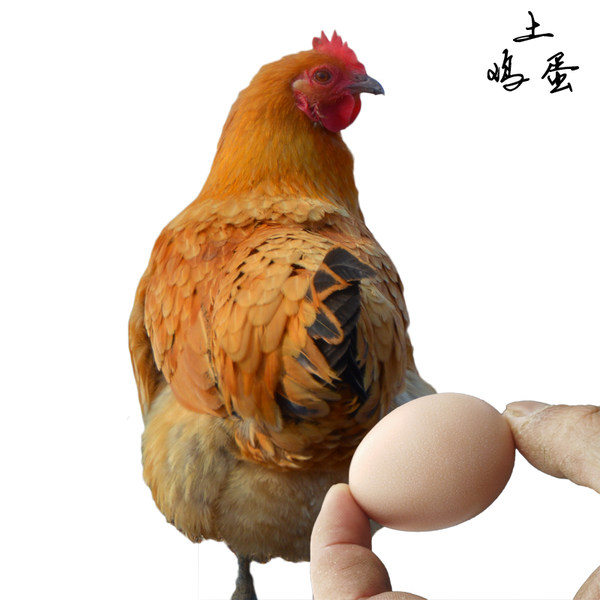 郭庄村 农家散养 新鲜土鸡蛋 30个1300g 优惠券折后￥22包邮（￥32-10）
