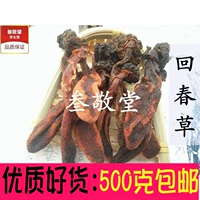 Huichun Cao Wild Publisa 500G Бесплатная доставка Tianshu Tiaizhu non -sold cao yunnan huichun cao порошковое суп Аутентичный суп