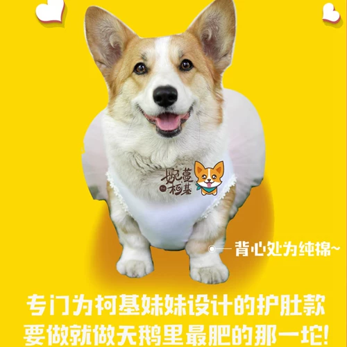 Wanman Corgie's Chubby Corgi Ballt Build Бесплатная доставка, весна и летняя сумка, собака Corgi Одежда