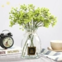Màu tinh khiết nhỏ thủy tinh tươi nhỏ đường kính mờ bình hoa đơn cắm hoa trang trí nhà để bàn trang trí văn học trang trí - Vase / Bồn hoa & Kệ chậu trồng rau thông minh