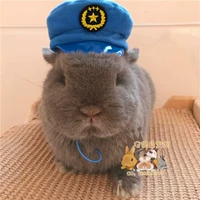 Японский брендовый кролик, шапка подходит для фотосессий, кошки и собаки