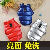 York Shutdi Bieme Bumei Puppy Dog Оделя