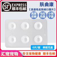 Кожа Qukang Tablet Pet Antee Dog и кошка демонстрируют перхоти зуд кожи.