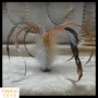Feather Duster - Thiên Tân Huayuan - Sáu lông Hazelnuts Thủ công mỹ nghệ chạm khắc thủ công - Các môn thể thao cầu lông / Diabolo / dân gian cầu đá thể dục