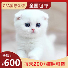 Другие 出售家养可爱粘人其它宠物品种齐全