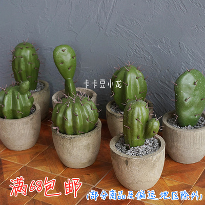 taobao agent 6 points Blythe OB11 baby house slightly shrinking scene plant potted green plant cactus fans furniture