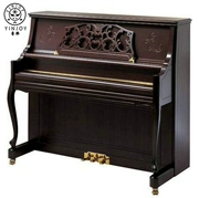 YINJOY RU-M4 (Vỏ kính thiên văn nổi bật ngoài trời cổ điển nổi bật của nghệ sĩ Dark Brown) - dương cầm