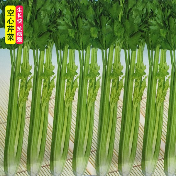 Хрустящий и нежный полый сельдерей семена Термостойкие волокно немного духи толстый весна летом и осенью время года четыре сезона Семена маринованной петрушки