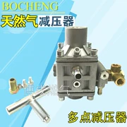 Bộ giảm áp áp suất trực tiếp đa điểm CNG giảm áp suất dầu sang ga giảm áp đặc biệt phụ kiện xe hơi tự nhiên - Sửa đổi ô tô