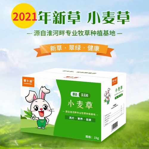 Пятно в 2021 году сушат пшеница таллли таллли кроличье кроличье голландская свинья вода чистая кишечная пастырская трава сушена