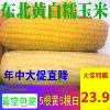 Товары от zhaohongliang0201