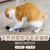 Товары от 母毛球猫窝