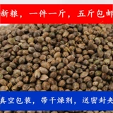 20 Xin Mozi/Fire Mazi/Parrot Staus/Hammer Food/Pet Oil маленькие гранулы пять фунтов национальная бесплатная доставка