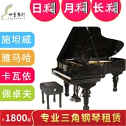 Bắc Kinh thuê buổi biểu diễn piano lớn của Shi Tanwei với STEINWAY Steinway chơi cho thuê đàn piano - dương cầm